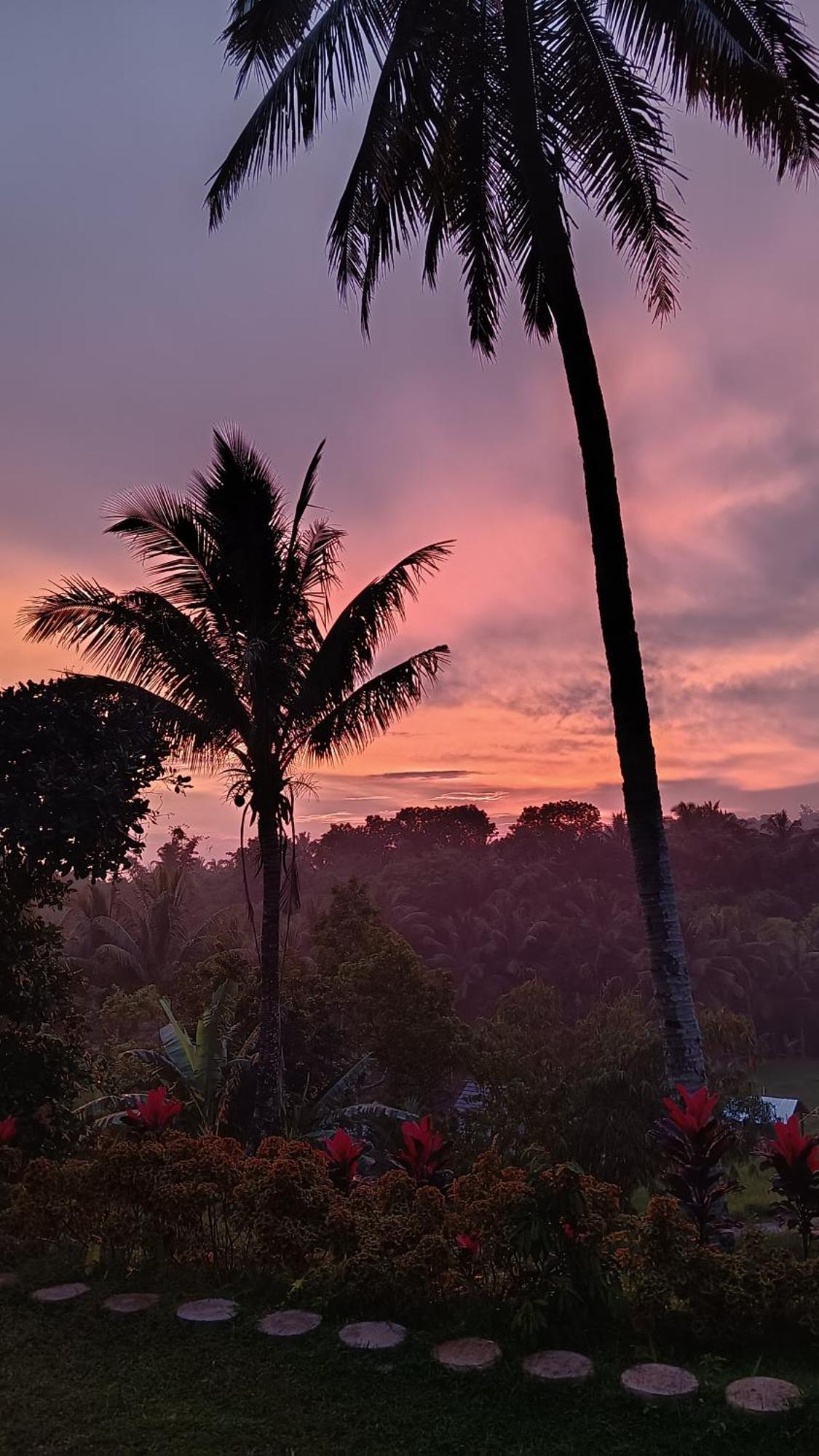 Dewi Rinjani Homestay Tetebatu Exteriér fotografie