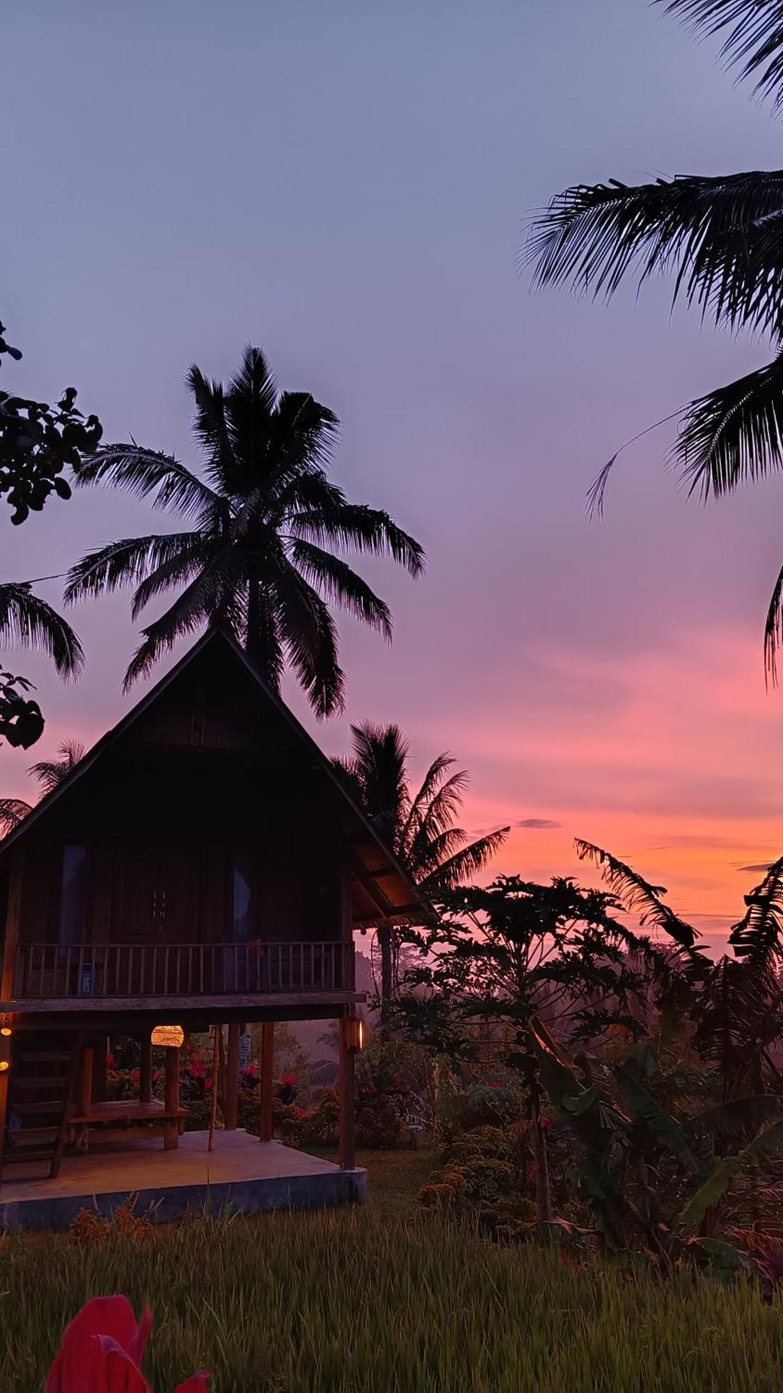 Dewi Rinjani Homestay Tetebatu Exteriér fotografie